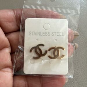 Stainless steel earrings